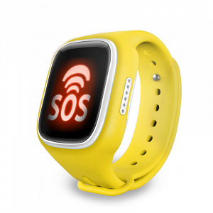   ������� ���� � GPS �������� MonkeyG S80 (�������)