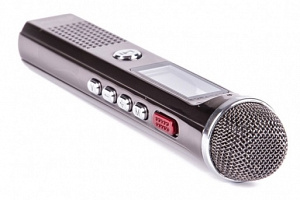 �������� �������� Ritmix RR-150 8Gb